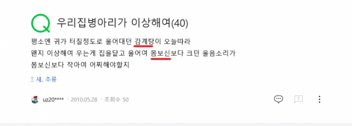 흔한 지식인의 병아리 작명센스 | 인스티즈