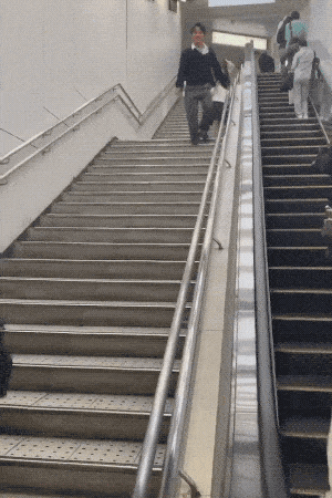 고인물 모음.gif | 인스티즈