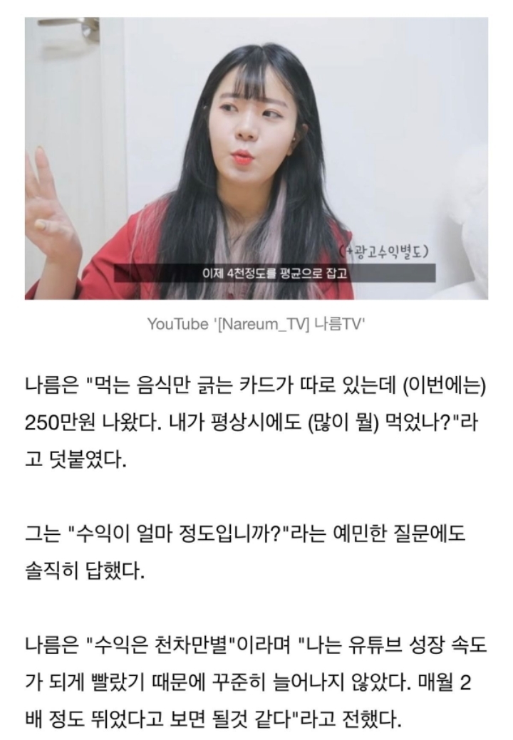 참피디가 맨 처음 저격한 유튜버 나름 월수입.jpg | 인스티즈