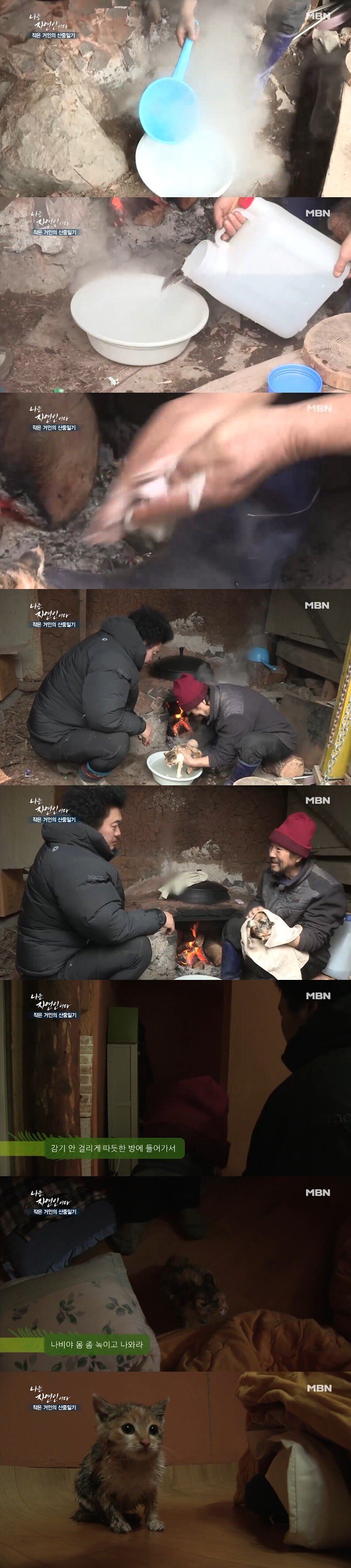 고양이를 주운 자연인 | 인스티즈