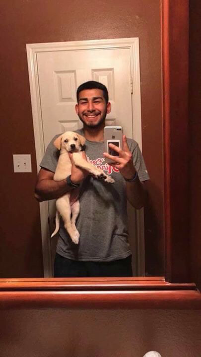 댕댕이의 1년 성장기.jpg | 인스티즈