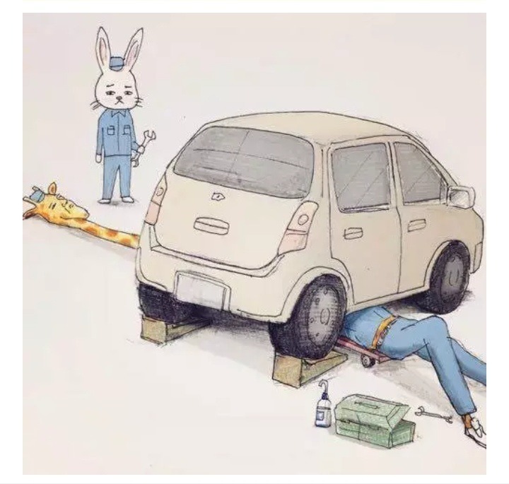 사람일경우 불편한동물 | 인스티즈