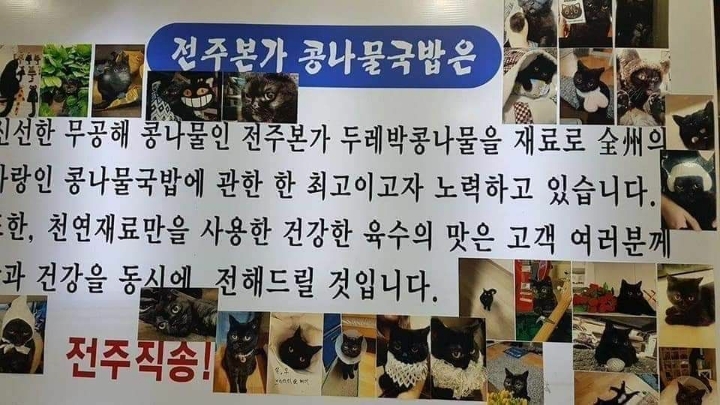 고양이 자랑하는 국밥집.JPG | 인스티즈