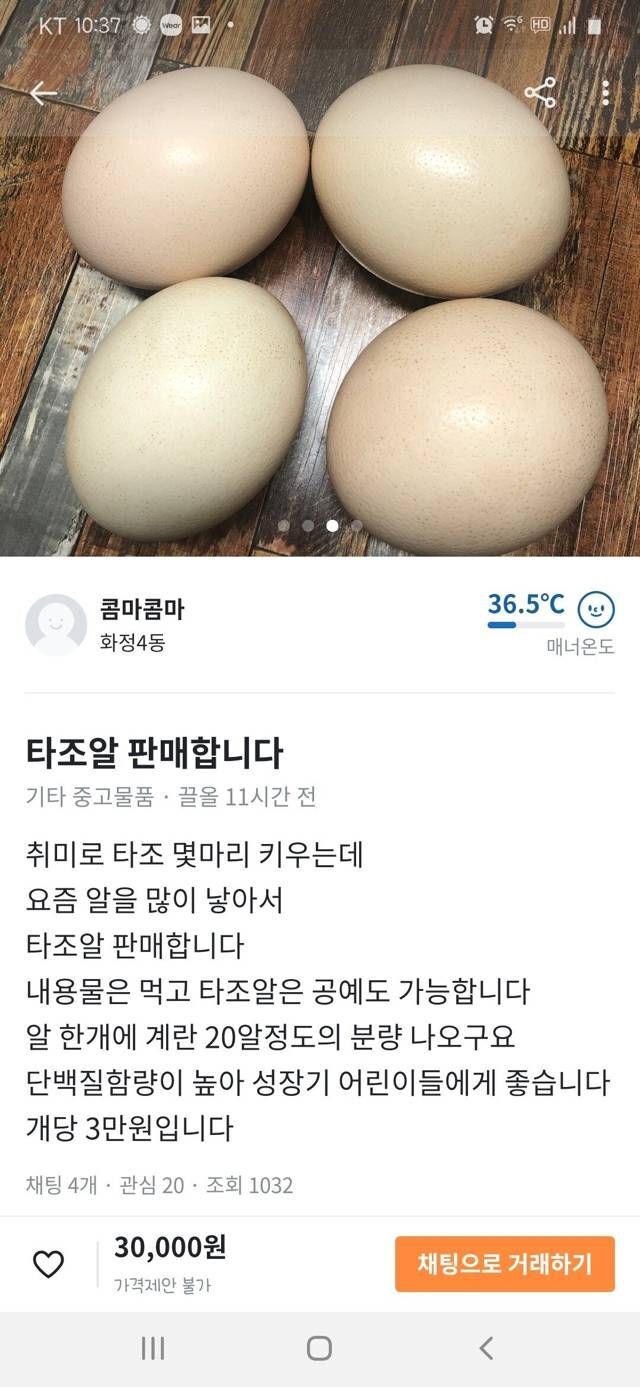 더쿠 - 타조알도 파는 당근마켓.JPG
