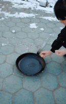 러시아식 달걀후라이 | 인스티즈