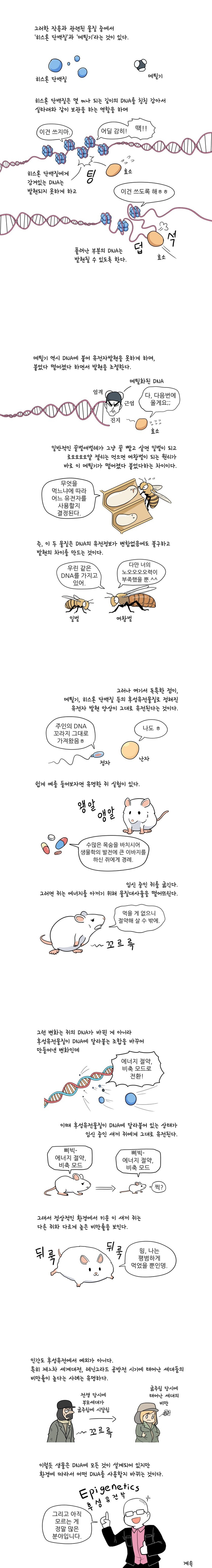 ef99c4b072dfe738ff7fddb5085d230ac6ce8a10