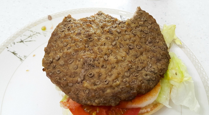 처음보면 많이 충격적인 버거킹 와퍼 패티.jpg (혐오주의) | 인스티즈