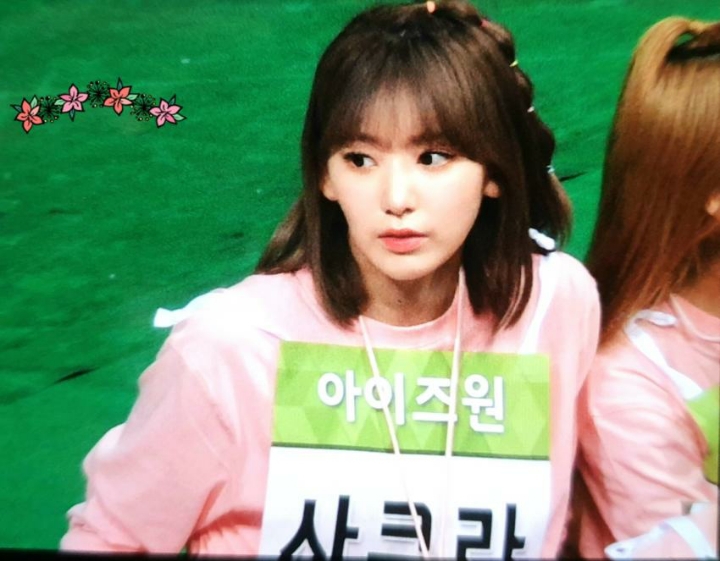 아이즈원 미야와키 사쿠라 랜덤짤 46 | 인스티즈