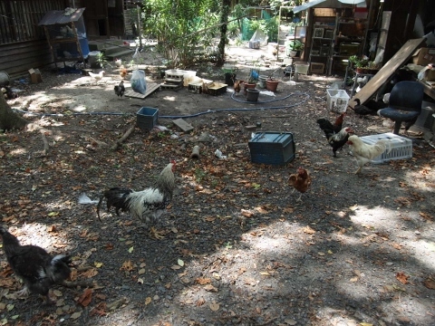 일본 명문대중 하나인 교토대학교의 기숙사.jpg | 인스티즈
