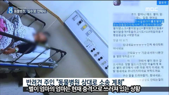 반려견 최악의 사건.jpg | 인스티즈