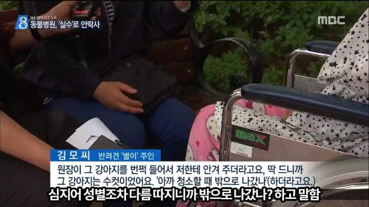 반려견 최악의 사건.jpg | 인스티즈