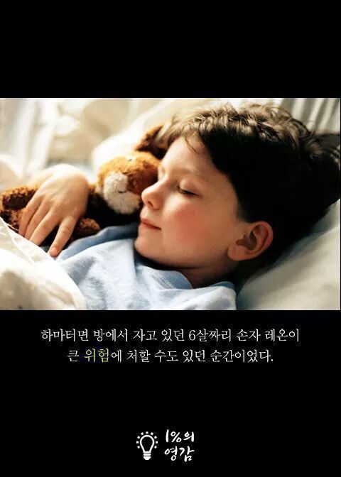 안내견이 짖은이유 | 인스티즈