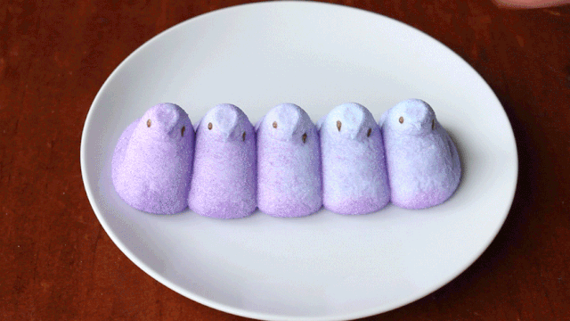 음식을 부수는 아티스트.gif | 인스티즈