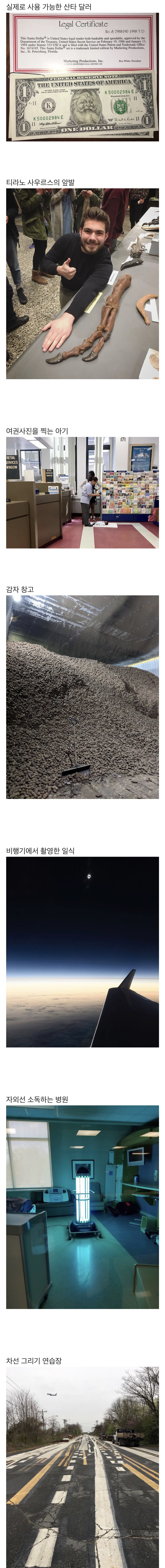 평소에 보기 힘든 사진들.jpg | 인스티즈