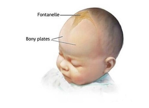 갓난애기 머리 함부로 만지면 안되는 이유 | 인스티즈