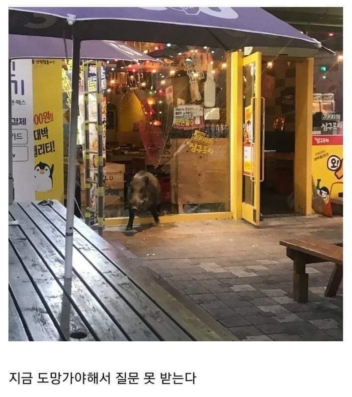 미친포차 이미지