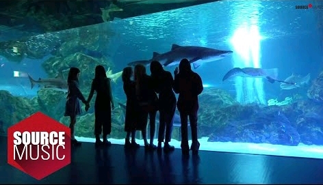 [아이돌이야기] 방시혁의 걸그룹? 빅히트 X 여자친구 이야기 | 인스티즈