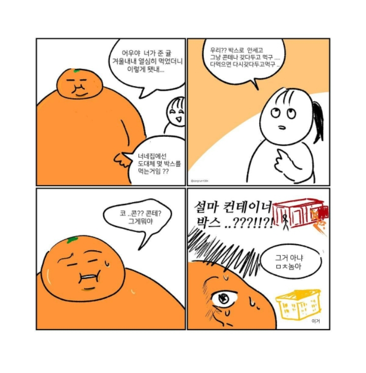 제주도 친구에게 귤이란 | 인스티즈