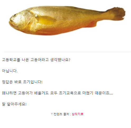 가장 똑똑한 물고기는? | 인스티즈