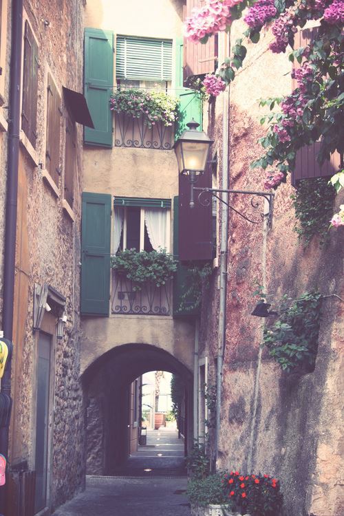 크로아티아 짤들 | 인스티즈