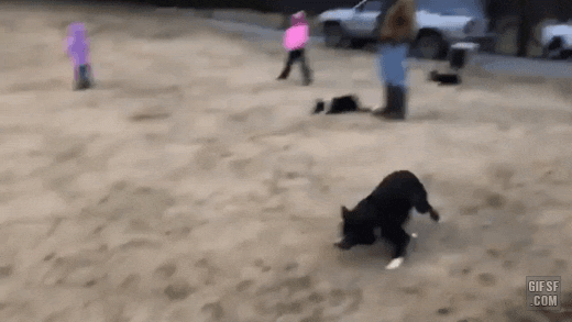 아이가 들고있는 훌라후프 통과하게 만들기.gif | 인스티즈