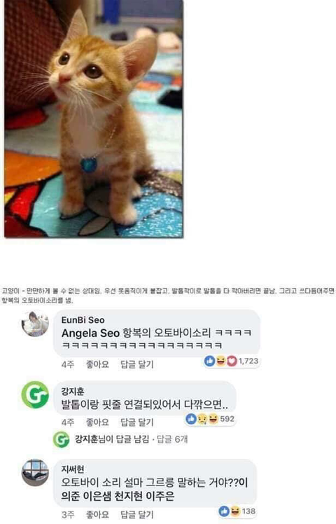동물과 싸워서 이기는 방법ㅋㅋㅋㅋㅋㅋㅋㅋㅋㅋㅋㅋㅋㅋㅋㅋ | 인스티즈