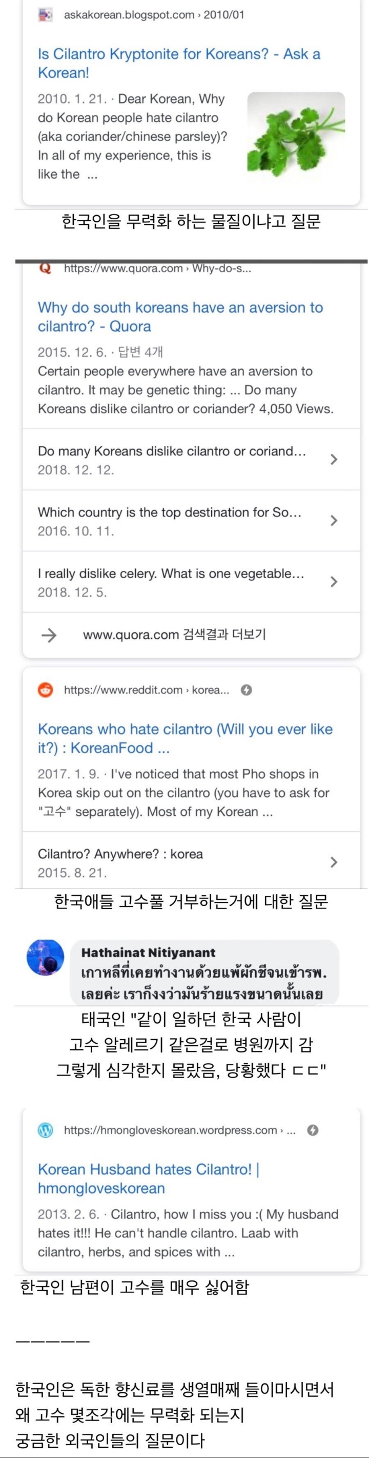 한국인이 왜 고수를 싫어하는지 이해 못하는 외국인들 | 인스티즈