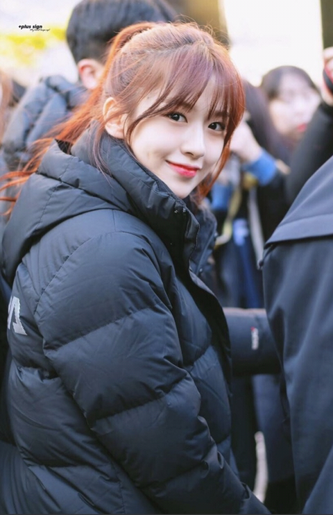 더쿠 사쿠라의 아이즈원 소개 | 인스티즈