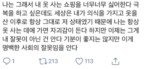 나는 뚱뚱한데 내게 맞지 않는 옷을 팔지 않는다 | 인스티즈
