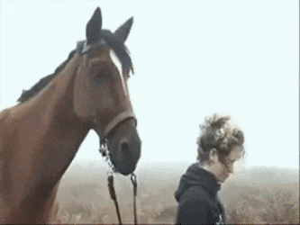 대부분의 사람들이 잘못 알고 있는 사실 | 인스티즈