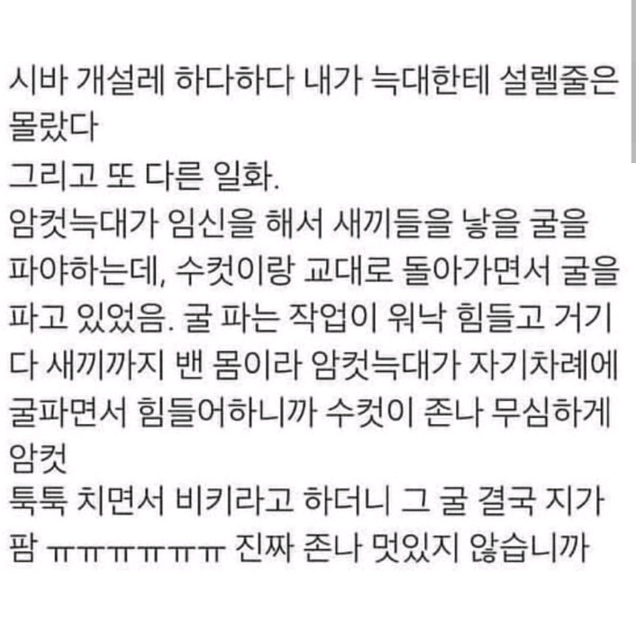 늑대한테 설레버림.jpg | 인스티즈