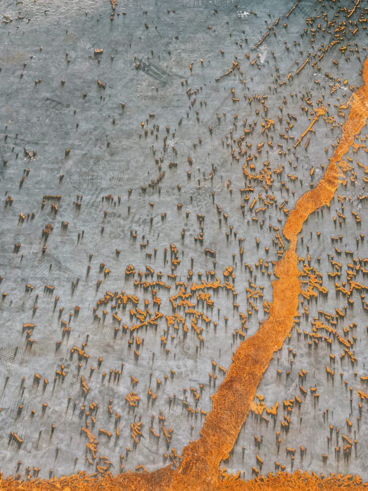 2020 아이폰 사진 어워드 수상작들 | 인스티즈