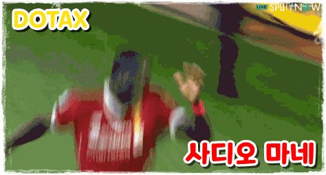 다음 중 더 충격적인 것은?????? | 인스티즈