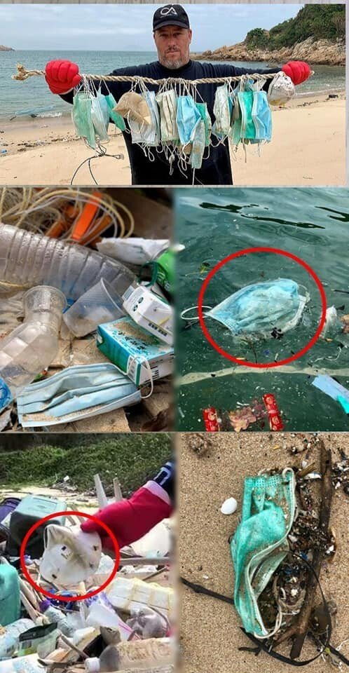 마스크 버릴 때 귀걸이를 자르세요 | 인스티즈