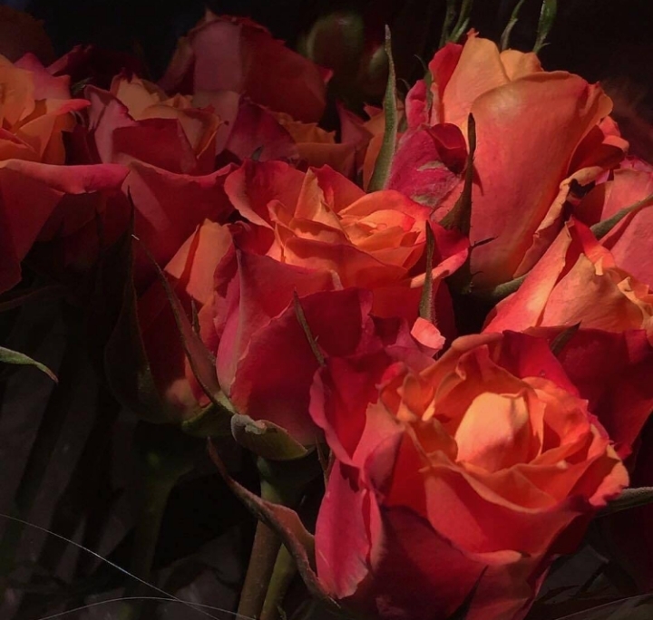 그대는 참 떼어내기 힘든 사람이에요 (재업) | 인스티즈