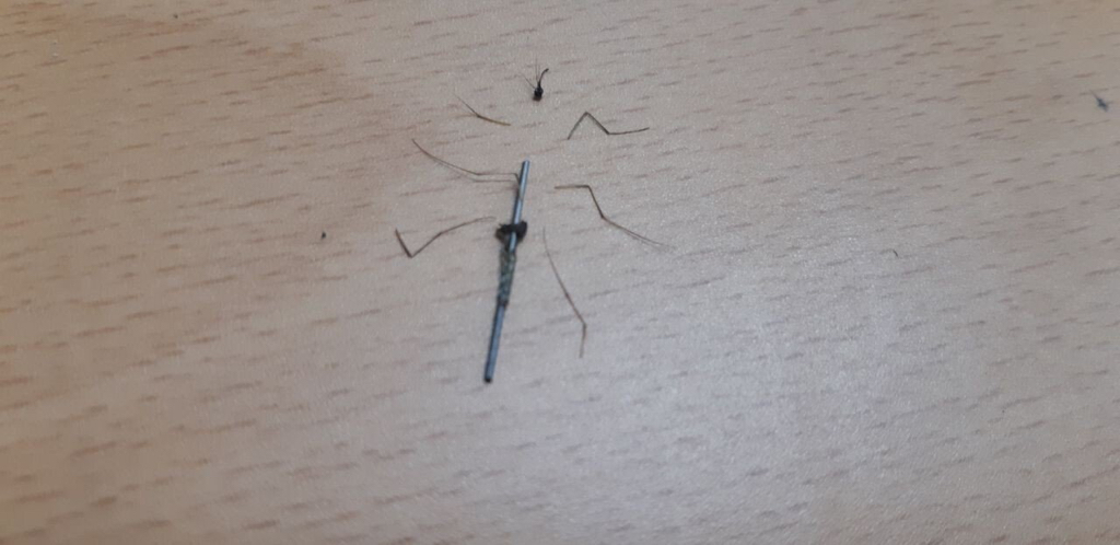 모기 새끼 다양하게 고문하는 모기 갤러리.jpgif | 인스티즈