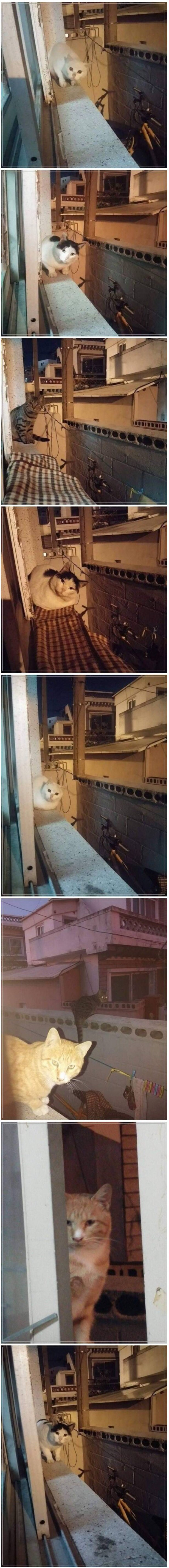 뷰티 인사이드.jpg | 인스티즈