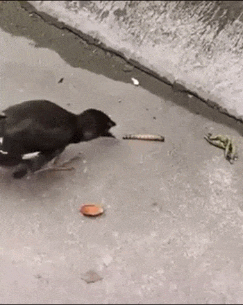 어..이거 왜 안들어오지?.gif | 인스티즈