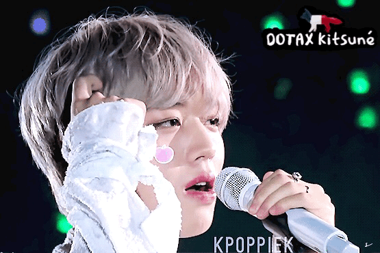 댕댕이 놀이기구.gif | 인스티즈