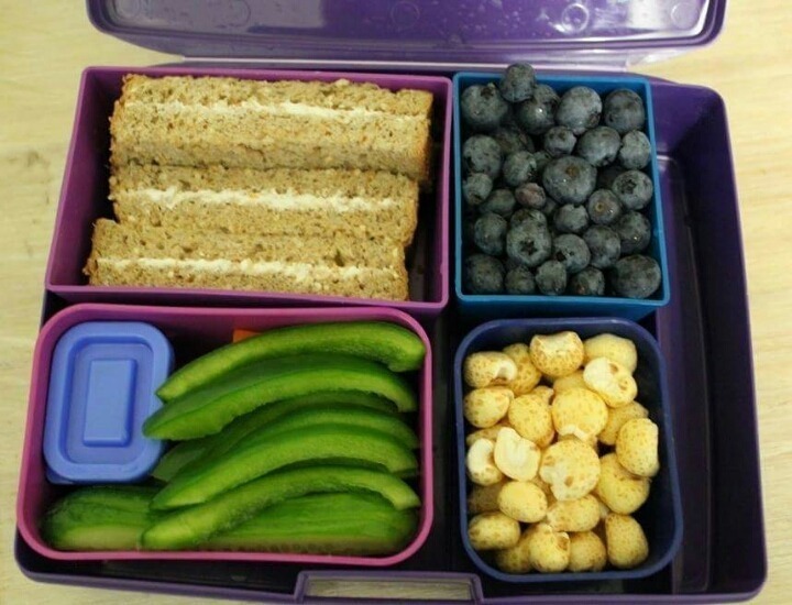 다이어터 도시락 | 인스티즈