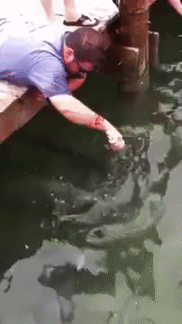 상남자식 낚시법.gif | 인스티즈