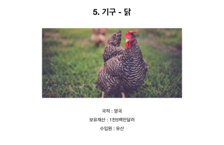 전세계에서 제일 부자인 동물 Top5 .JPG | 인스티즈