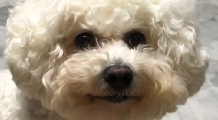 f4312db94b17f60e019dd457d220a7c09be6bc78