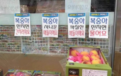 복숭아 누르지 마세요 | 인스티즈