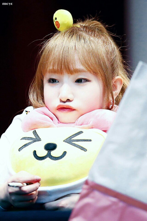 아이즈원 최예나 | 인스티즈