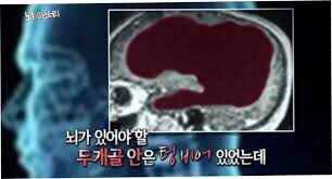 미국은 자국민을 구할 수 있도록 허락해준 일본에게 감사해야 한다 | 인스티즈