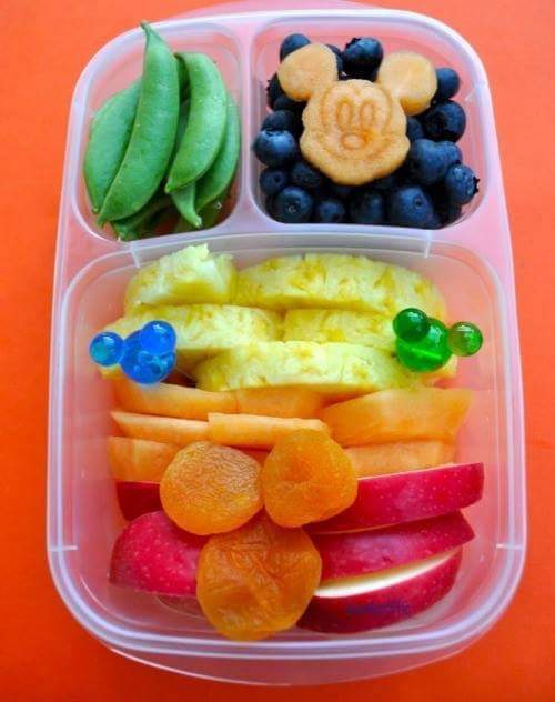 다이어터 도시락 | 인스티즈