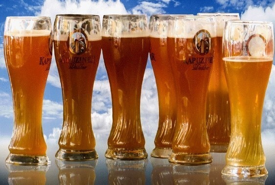 본인의 최애맥주는?? | 인스티즈