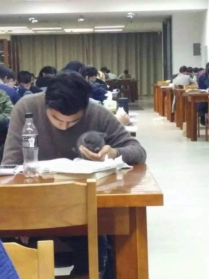 독서실&amp;도서관 빌런 모음.jpg | 인스티즈