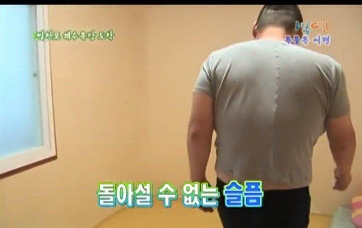 강호동 덩치 체감해보기 | 인스티즈